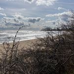 Daniel Berlin - @d_berlin - Instagram