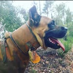 Daniel Bermejo Ramirez - @bermejoramirezdaniel - Instagram
