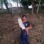Daniel Bernardino - @daniel.bernardino.12532364 - Instagram