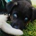 Daniel Bernardis - Facebook