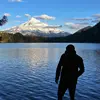 Daniel Bernards - @danielbernards - TikTok