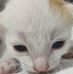 Daniel Bernardo - Facebook
