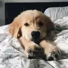 Daniel Bernier - @danielbernier1 - TikTok