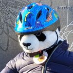 Daniel Berning - @bgdnow - Instagram