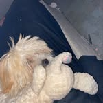 Daniel Berrum - @danielberrum_ - Instagram