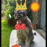 Daniel Bertin - @daniel083014 - Instagram