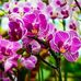 Daniel Bertin - Facebook