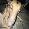 Daniel_berto16 - @daniel_berto16 - TikTok