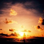 @daniel_bertoldi - Instagram