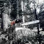 Daniel Besler - @besler_daniel - Instagram