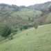 Daniel Bett - Facebook