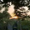 Daniel Bettin - @daniel.bettin3 - TikTok