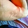 Daniel Bevilacqua - @danielbevilacqua - TikTok
