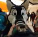 Dan Bevins - Facebook