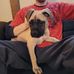 Dan Bevins - Facebook