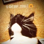 Даниель Терехов - @danielbialon2000 - Instagram