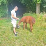 Daniel Biberger - @bibergerdaniel - Instagram