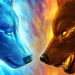 Daniel Bible - @daniel.bible.71 - Instagram