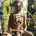 Daniel Bickford - @trashpandazoo - Instagram