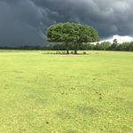 Daniel Bickham - @weightsandwasted - Instagram