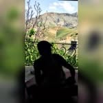 Daniel Bidel - @bideldaniel - Instagram