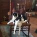Daniel Biehl - Facebook