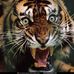 Daniel Bielecki - Facebook