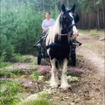 Daniela Bielefeldt - Facebook
