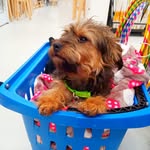 Daniel Garcia Bielsa - @danielgarciabielsa - Instagram