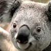 danielbienert690 - @danielbienert690 - TikTok