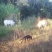 Daniel Bigalke - Facebook