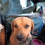 Daniel Bigger - @bigger331 - Instagram