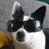 Daniel Biggs - @daniel.biggs8 - TikTok