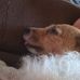 Daniel Bigley - Facebook