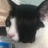 danielbabikowski - @danielbabikowski6 - TikTok