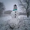 DanielBilbrey - @danielbilbrey22 - TikTok