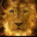 Daniel Bile - Facebook