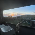 Daniel Billingham - @danbillingham_ - Instagram