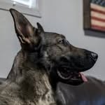 Daniel Binford - @daniel.binford - Instagram
