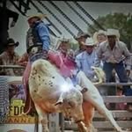 Daniel Binion - @daniel_binion - Instagram