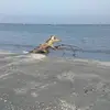 Daniel Biondi - @danielbiondi31 - TikTok
