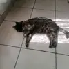 Daniel Bernal - @daniel.bernal323 - TikTok