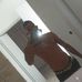Daniel Birbal - Facebook