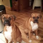 Daniel Birchfield - Facebook