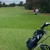 Daniel - @daniel..bird - TikTok
