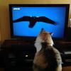 danielbirly - @danielbirly - TikTok