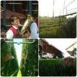Daniel Birkle - @debirkle - Instagram