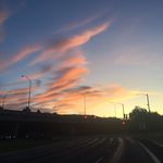 Daniel Bisbee - @1danielbisbee_ - Instagram