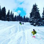 BISCHOF DANIEL - @daniel.bischof16 - Instagram