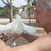 Daniel Bisch - Facebook